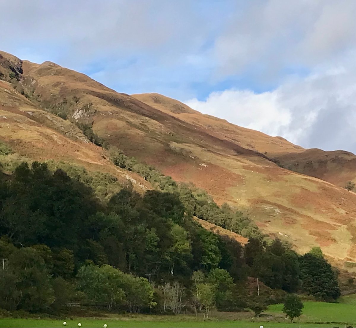 Karen McKibbin tweet media