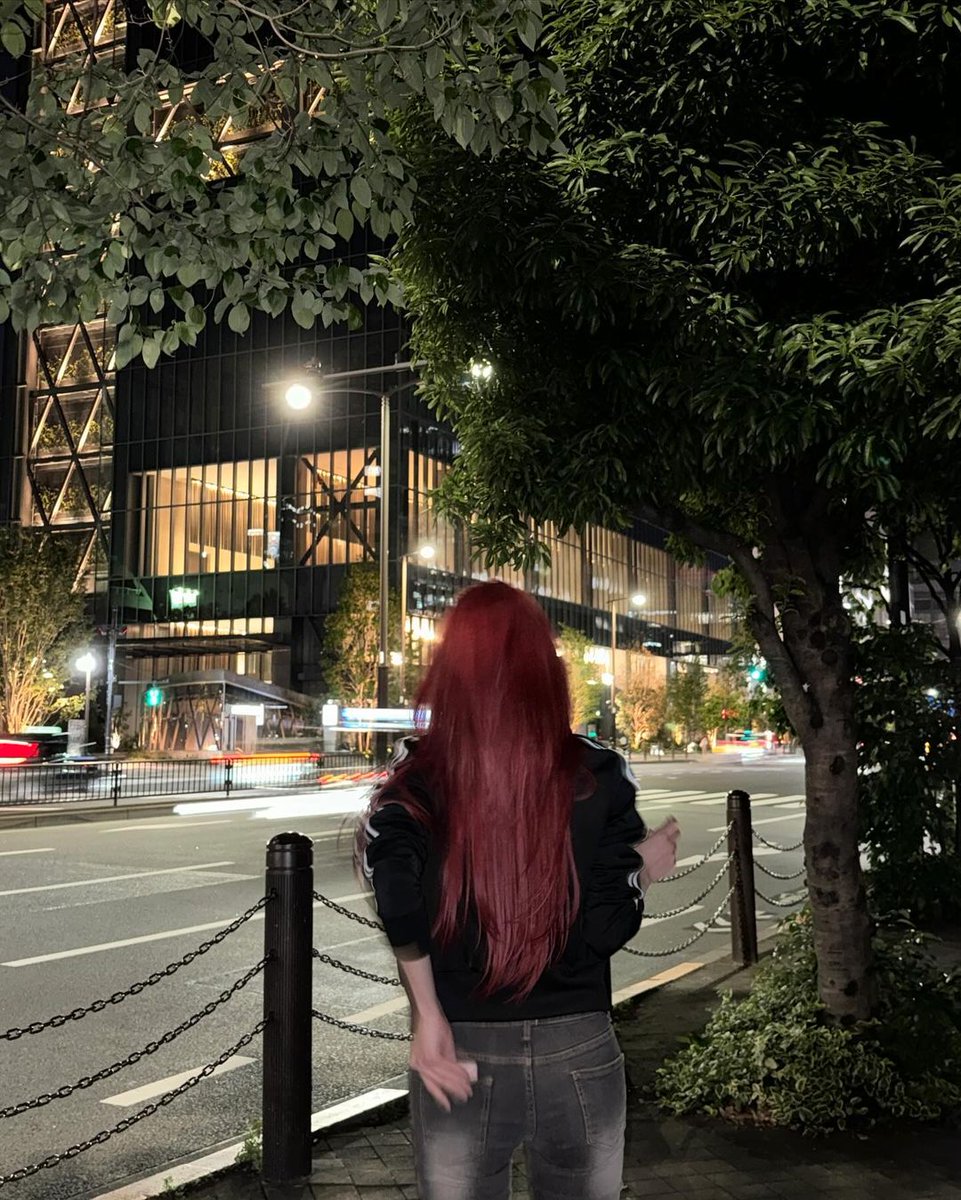 primrose tweet media