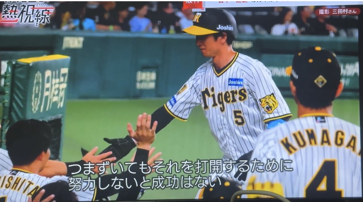 フェレット tweet media