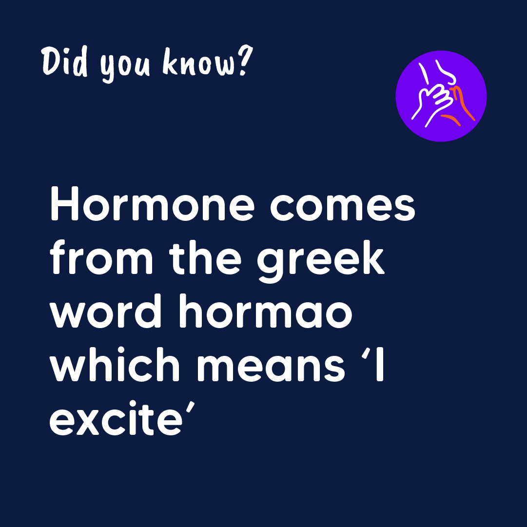 Pituitary_org's tweet photo. The word hormone comes from the Greek word hormao meaning ‘I excite’. 

It refers to the fact that each hormone excites or stimulates a particular part of the body known as the target gland.

Did you know this?

#PituitaryAwarenessMonth #BackToBasics https://t.co/Xvipv62tr2