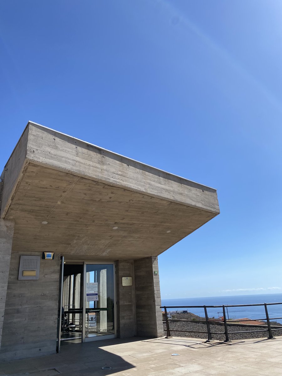 María Rodriguez-Ayllon tweet media