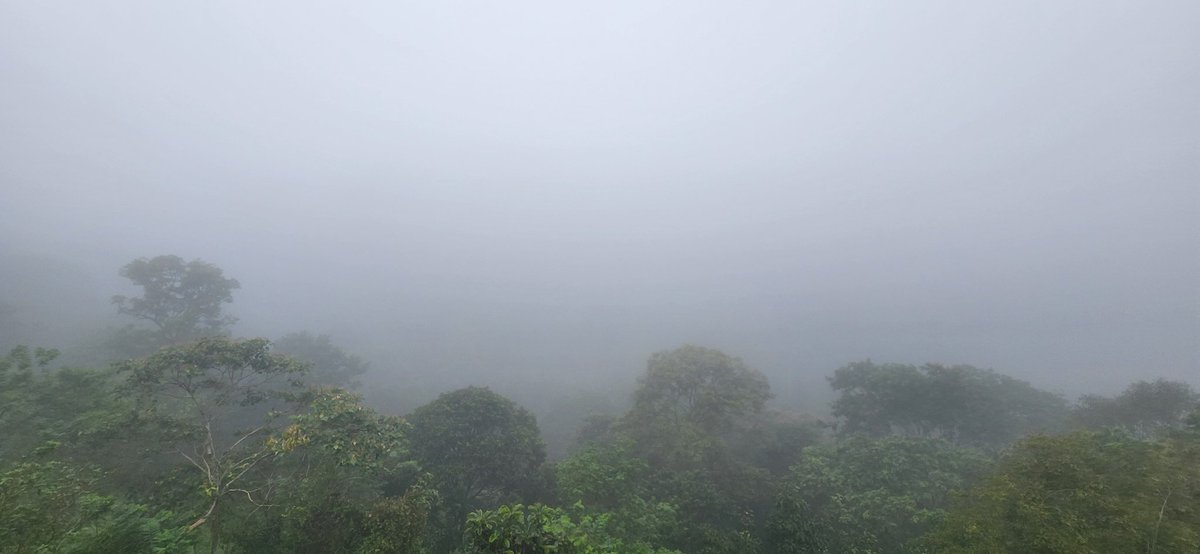 BunnyBearBTS's tweet image. #munnardiaries