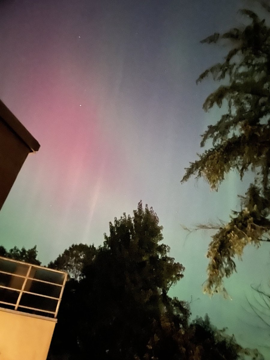 twiddertoes's tweet photo. Whoa!
Maple Ridge tonight. Visible to the naked eye but much more vibrant through the camera. What a treat!
#northernlights 
#aurora https://t.co/EgzkY83AIB