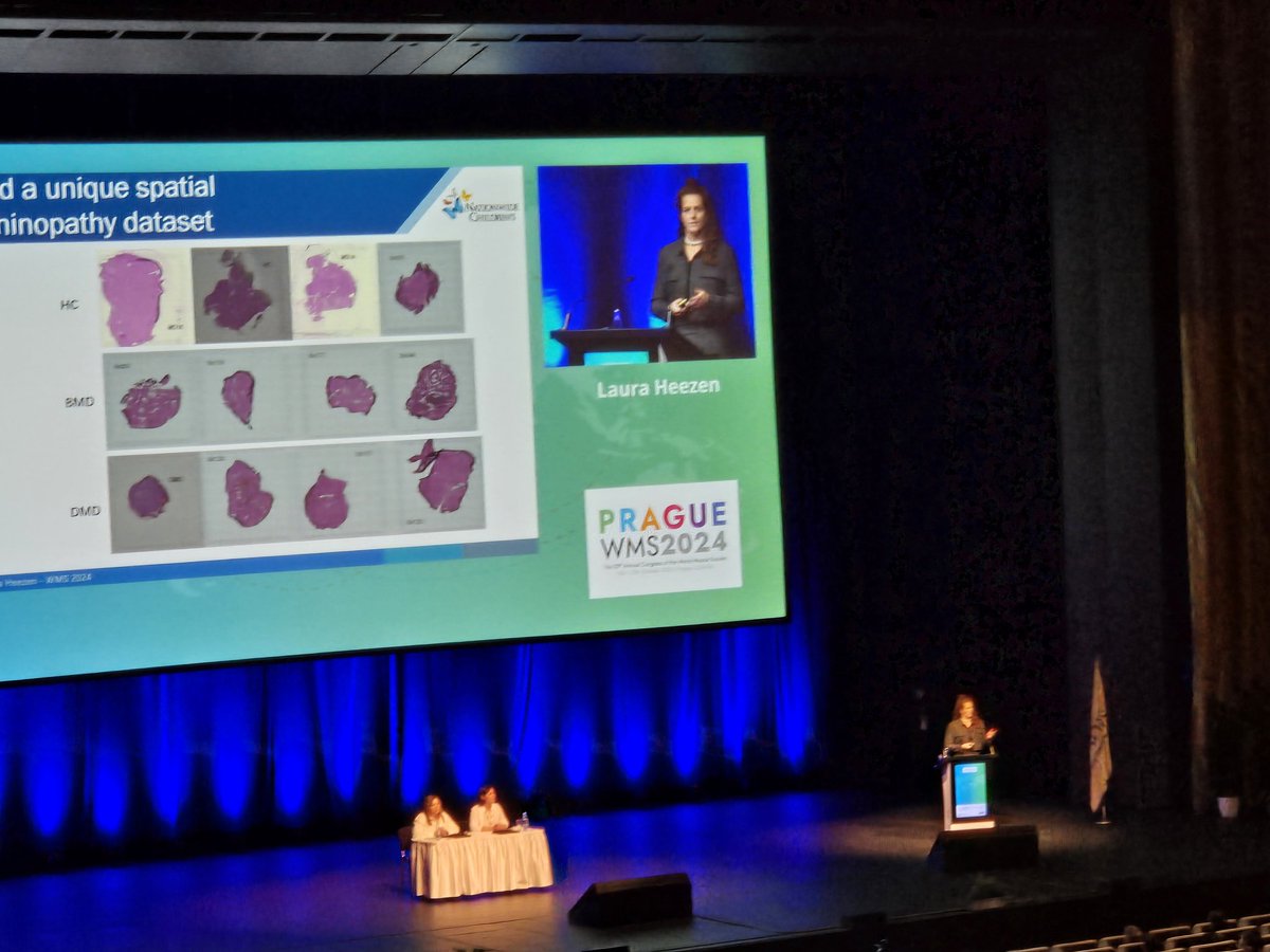 Matt_Muscle_Guy's tweet photo. Interesting day 4 #WMS2024 talks from Maury Swanson, Grace Yoon, and @LauraHeezen on RNA pathomechanisms for neuromuscular disorders. https://t.co/1F1otvIcKO