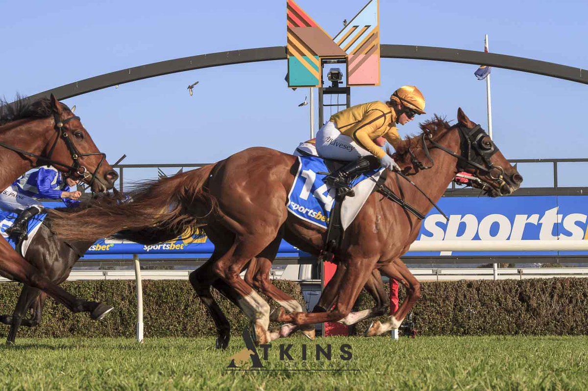 Terry Hann (@terry_hann) on Twitter photo Willaston, ridden by Alana Livesey and trained by Ryan Balfour, won the Sportsbet Set A Deposit Limit Benchmark 58 Handicap at Morphettville.
Photos ~ AtkinsPhotography.com.au
Downloads ~ AtkinsRacing.com.au
<a href="/RacingSA/">Racing SA</a> <a href="/SAJockeyClub/">Morphettville Racecourse</a> <a href="/sportsbetcomau/">Feed Nation x Sportsbet</a> <a href="/shieldsy101/">Melissa Shield</a> <a href="/BalfourRyan/">Ryan Balfour</a> Willaston, ridden by Alana Livesey and trained by Ryan Balfour, won the Sportsbet Set A Deposit Limit Benchmark 58 Handicap at Morphettville.
Photos ~ AtkinsPhotography.com.au
Downloads ~ AtkinsRacing.com.au
<a href="/RacingSA/">Racing SA</a> <a href="/SAJockeyClub/">Morphettville Racecourse</a> <a href="/sportsbetcomau/">Feed Nation x Sportsbet</a> <a href="/shieldsy101/">Melissa Shield</a> <a href="/BalfourRyan/">Ryan Balfour</a>