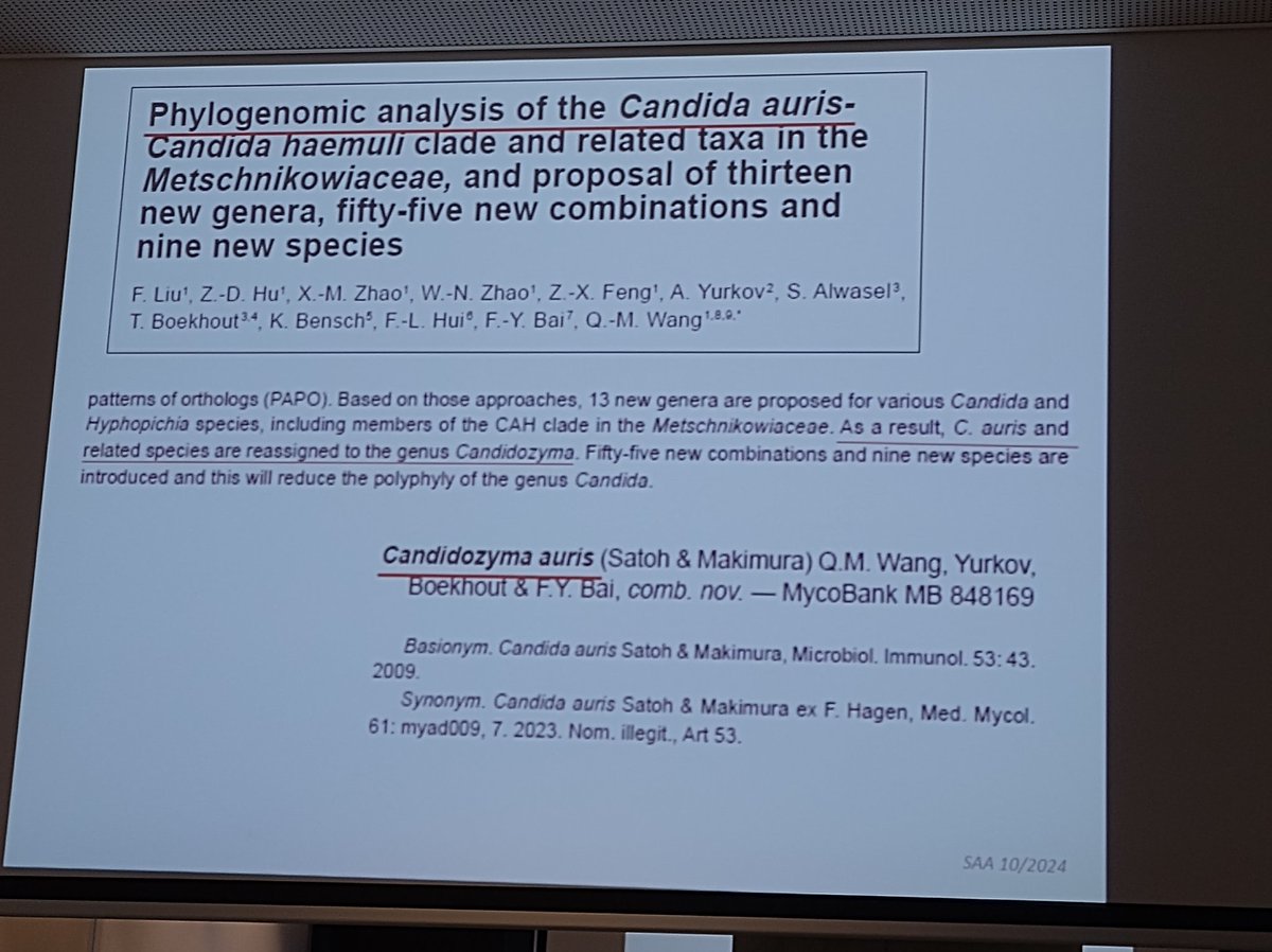 ferryhagen's tweet photo. @WHO And of course the proposed renaming of Candida auris to Candidozyma auris is mentioned, curious if the Q&amp;A of this session will only about taxonomy instead of #AMR..... https://t.co/ZOtuhorkiE