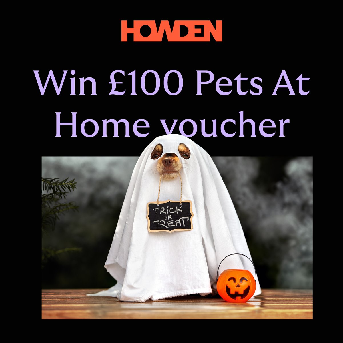 Howden Insurance tweet media