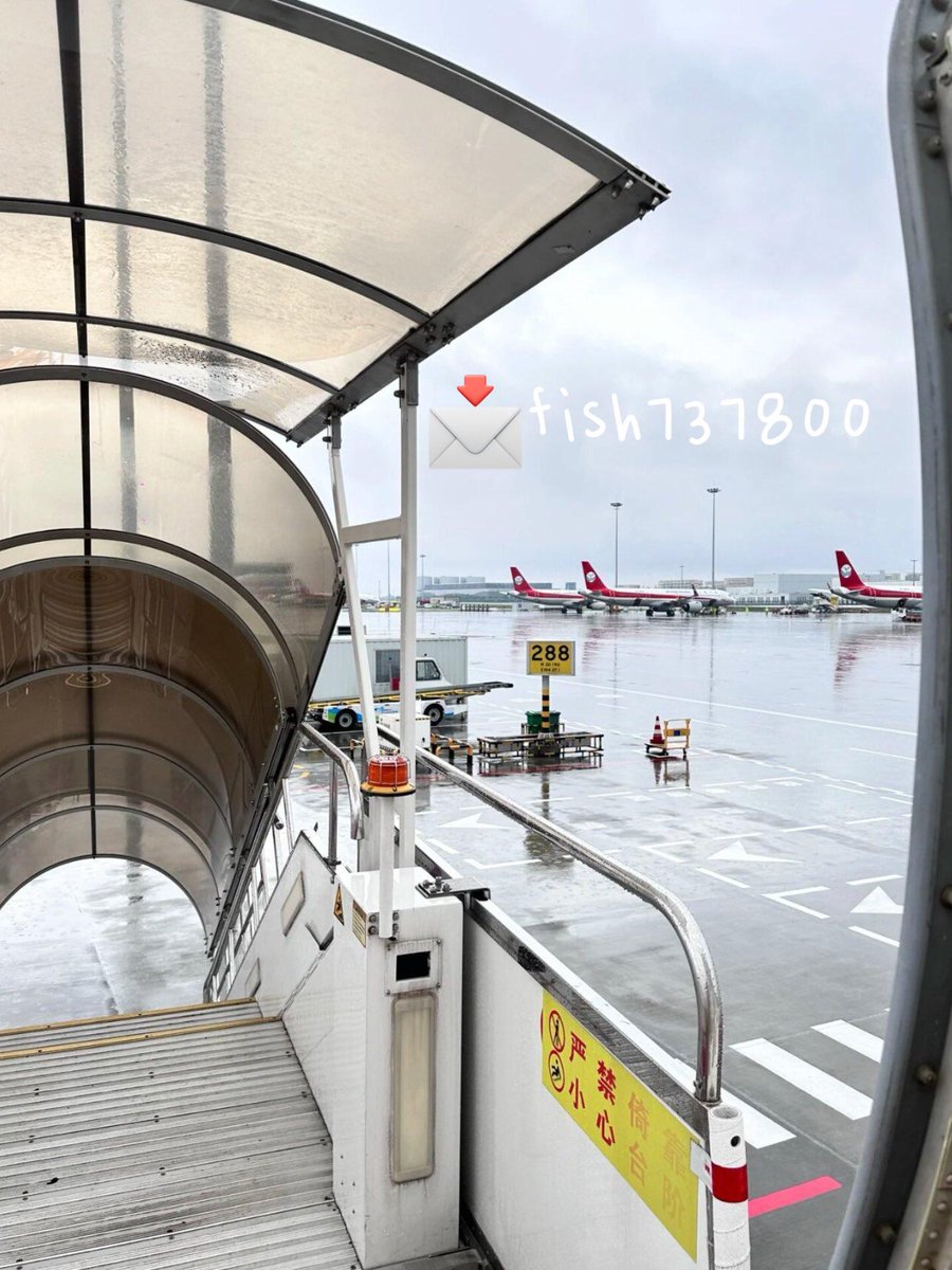 fish737520's tweet photo. 想入坑🚴‍♀️～#骑行

有没有和我一样的🙋‍♀️
一直被投资这件事PUA着～ #股票
看似合理～几万几十万的投入不见任何回报不说，再玩下去本金都快归零了～

算了，还是换个坑入吧～
撤出来买���自行车～#trek
预算十万，至少车是我的🙄️🙄️

#公路车 #崔克马东 #皮娜 #海航空乘 #空姐 https://t.co/owNZ8aFcPp