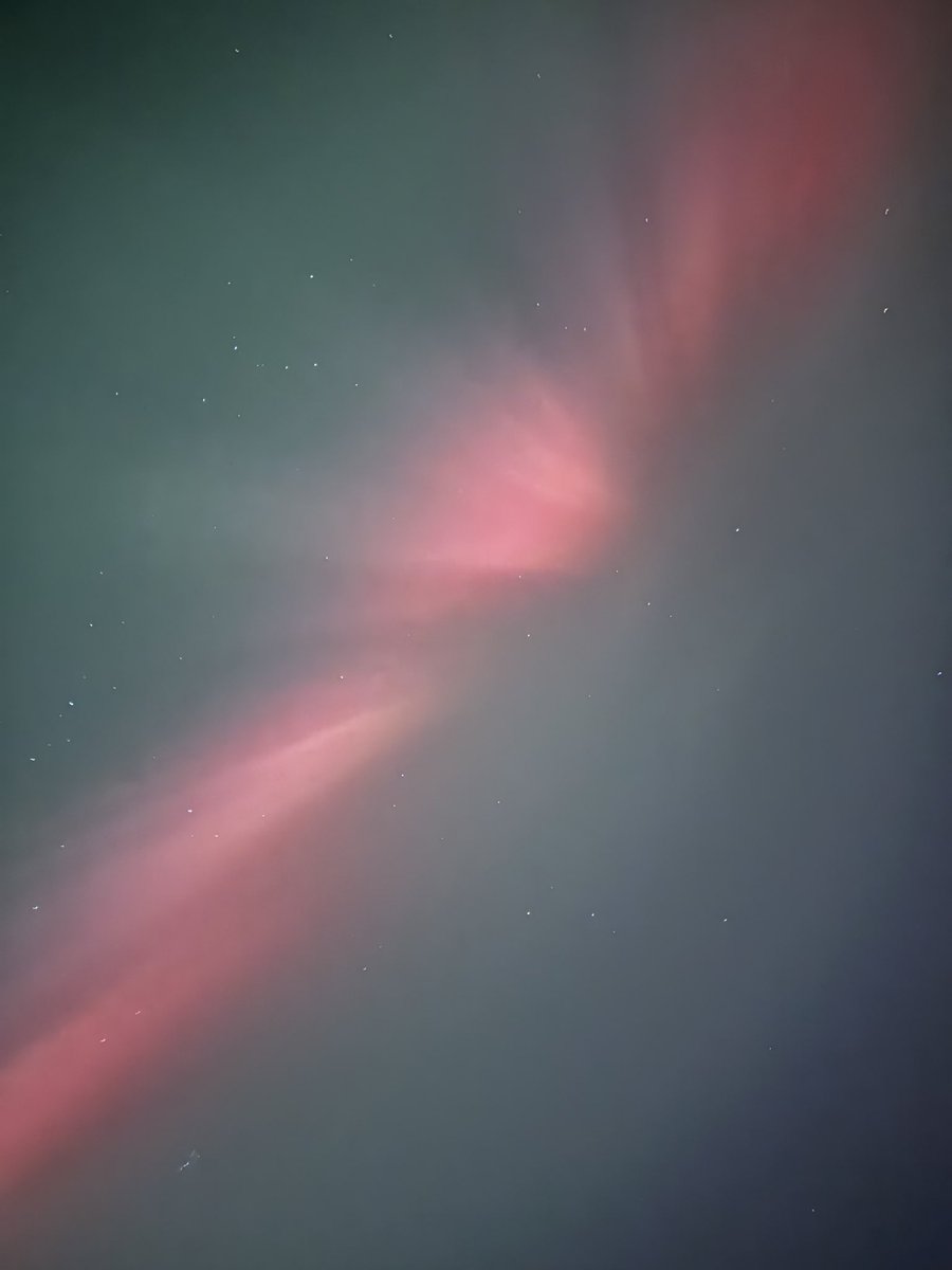 Burn Low tweet media