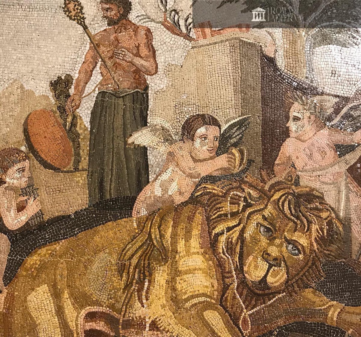 Mosaïque avec des amours et un lion (Rome, Ier s. av. J.-C.). Elle est exposée à la Centrale Montemartini à Rome. #CentraleMontemartini