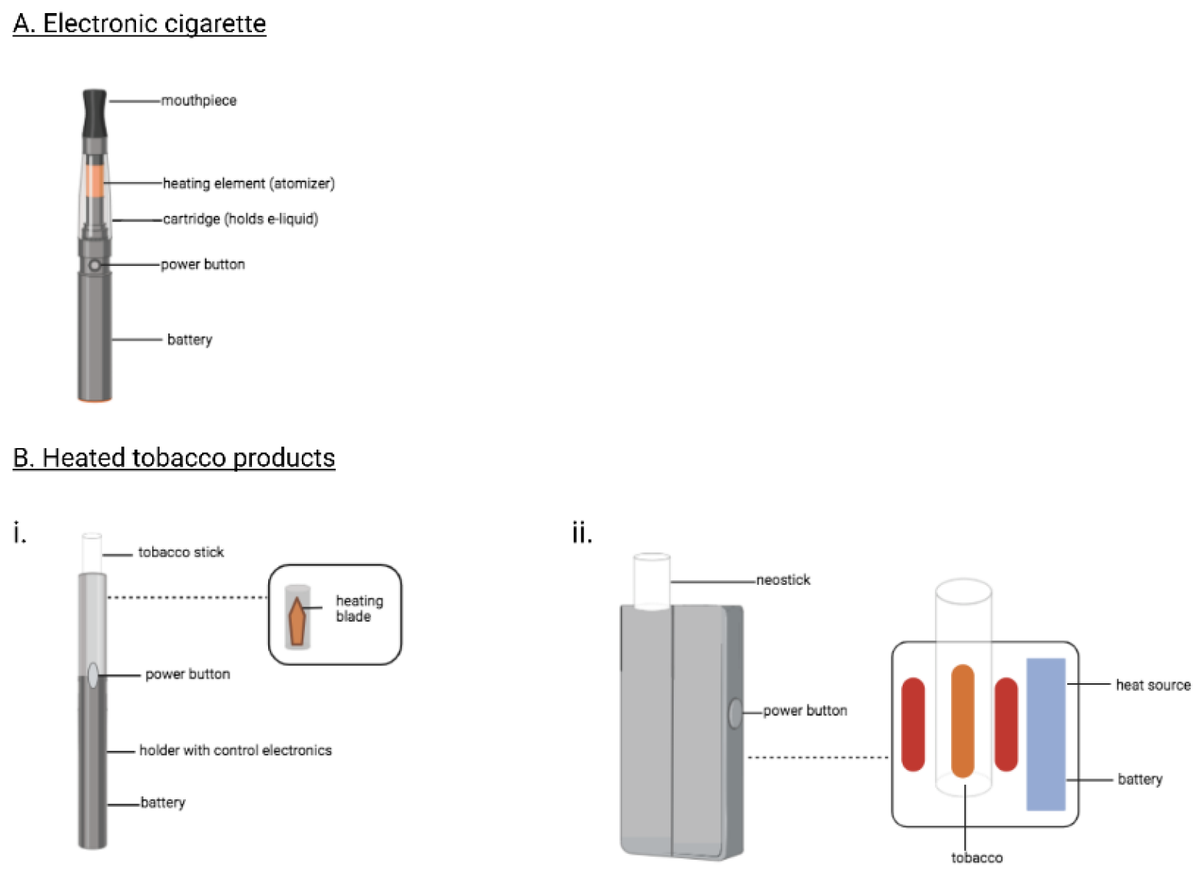 Oxygen_MDPI's tweet photo. New publication from Dr. Silvia Granata's (IRCCS Neuromed, Italy) team: The Role of #ROS in #ElectronicCigarette- and Heated #Tobacco Product-Induced Damage

#OpenAccess 
#Oxygen

https://t.co/Rh01tGLYu0 https://t.co/Nh93P8vuBB