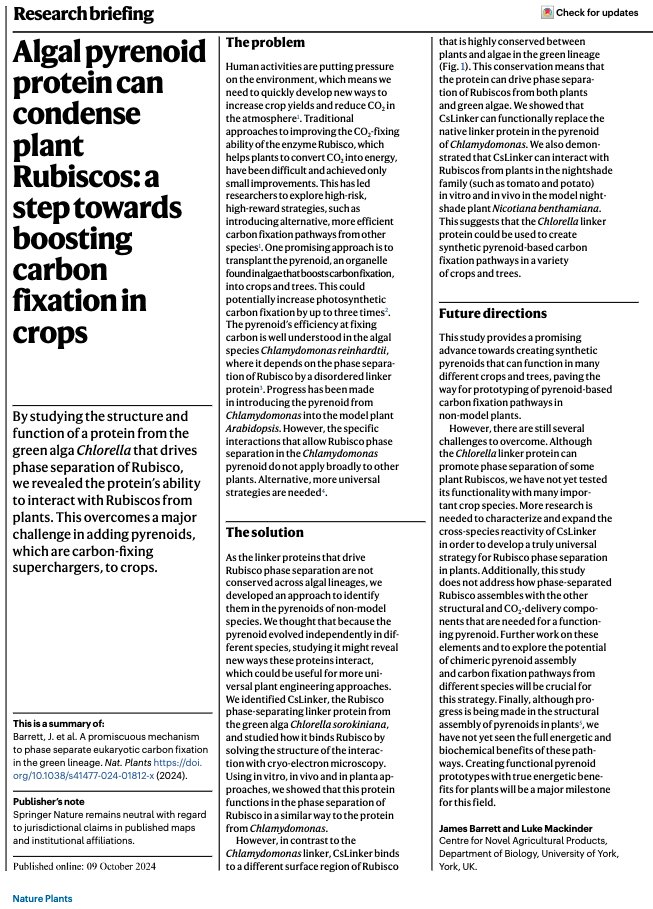 Luke Mackinder (@mackinderlab) on Twitter photo Check out this Research Briefing for a quick overview of our work exploring Rubisco condensation by CsLinker, an intrinsically disordered protein from Chlorella. All driven by <a href="/james_r_barrett/">James Barrett</a> doi.org/10.1038/s41477… Check out this Research Briefing for a quick overview of our work exploring Rubisco condensation by CsLinker, an intrinsically disordered protein from Chlorella. All driven by <a href="/james_r_barrett/">James Barrett</a> doi.org/10.1038/s41477…