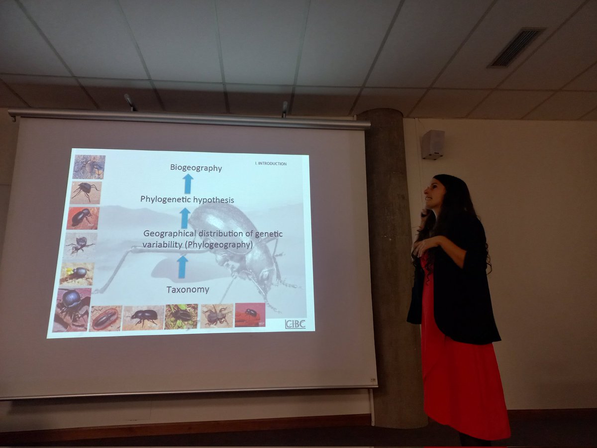 Paloma Mas Peinado nos ilustra sobre Tenebrionidos en las III Jornadas de investigación del <a href="/CibcUam/">CIBC UAM</a>