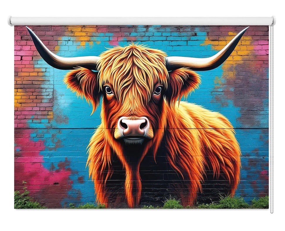 Artfeveruk's tweet photo. Add some colour to your windows with ‘The Highland Cow’ graffiti style printed roller blind.
Made to measure printed blinds by https://t.co/Bkm6K0HiQU 

#highlandcow #highlandcows #thehighlands #graffitiart #digitalart #colourburst #dripart #windowblinds #rollerblinds #madetomeasure #homedecor #homehack #diyhacks #bedroominspo #bedroomart #bedroomdecoration
