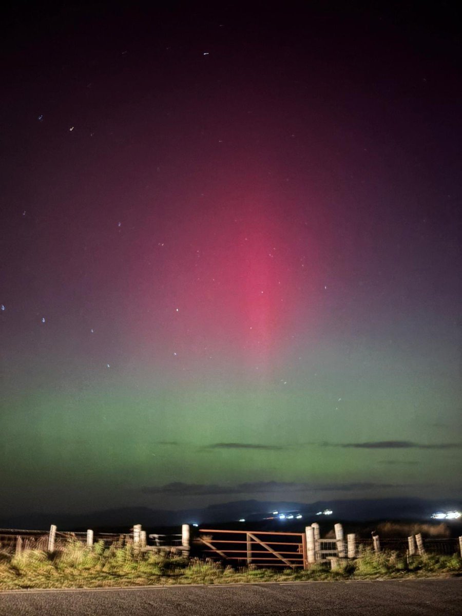 OSThror's tweet image. Some view out in the garden last night.