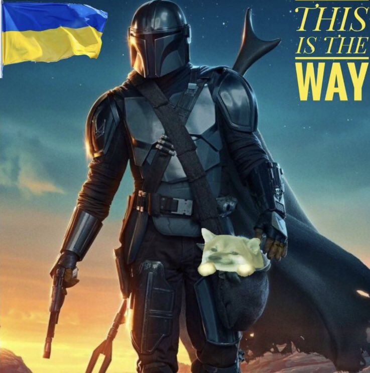 Schellmerich von Schalk🪣📯 (@unicorn84366800) on Twitter photo 