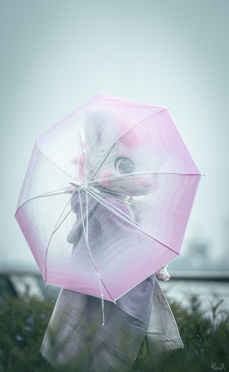 #FursuitFriday #FursuitEveryday 

  这场雨水洗礼了音符，大海也为之起舞，我很喜欢在下雨的时候走出去，这份朦胧是天空送我的礼物，望向码头的远方，伸手触碰空气中的温度，变成最完美的模样，直到最后一个音符奏响前突然停止………你好，世俗眼下的怪胎

📷：<a href="/SoyaOWO/">豆浆Soya</a>