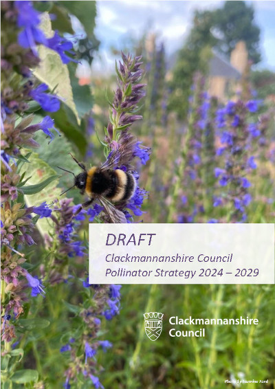 Clackmannanshire Council (@clackscouncil) on Twitter photo Final opportunity to give your views on our Pollinator Strategy 2024-29. Our strategy aims to cultivate a thriving and diverse population of pollinators by increasing awareness of the importance of pollinators: orlo.uk/rmskW <a href="/AlloaCC/">Alloa CC</a> <a href="/AlvaCommCouncil/">AlvaCommunityCouncil</a> <a href="/DollarCouncil/">Dollar Community Council</a> Final opportunity to give your views on our Pollinator Strategy 2024-29. Our strategy aims to cultivate a thriving and diverse population of pollinators by increasing awareness of the importance of pollinators: orlo.uk/rmskW <a href="/AlloaCC/">Alloa CC</a> <a href="/AlvaCommCouncil/">AlvaCommunityCouncil</a> <a href="/DollarCouncil/">Dollar Community Council</a>