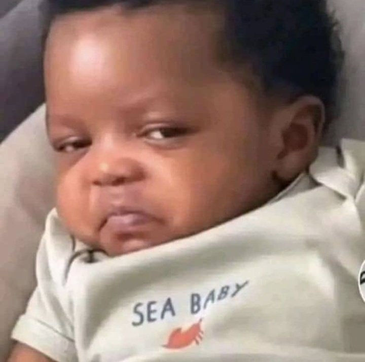 kerry_rod's tweet photo. How she looks at you when you promise to make things better without using financial language 😹 https://t.co/bbP8lQDoqY
