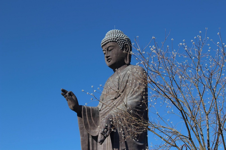 仏像 高さ約45センチ すごすぎる茨城県！牛久市にある牛久大仏は、高さ120メートル、総重量