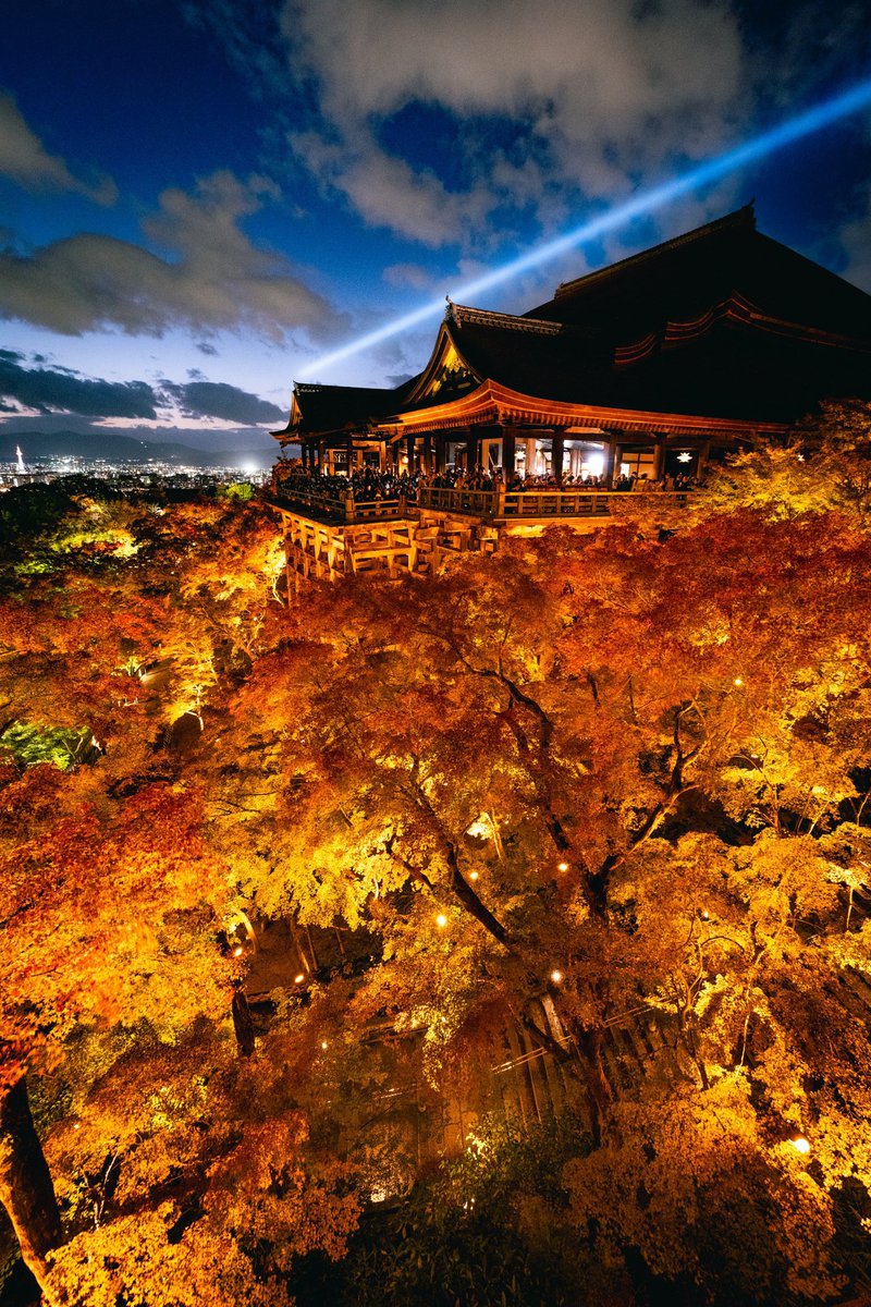 urbex_34's tweet photo. 限界突破した清水寺の紅葉をご覧下さい。 https://t.co/NB9vkGcjBi