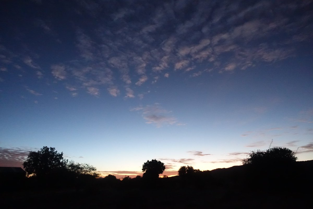 Viajarapie tweet media