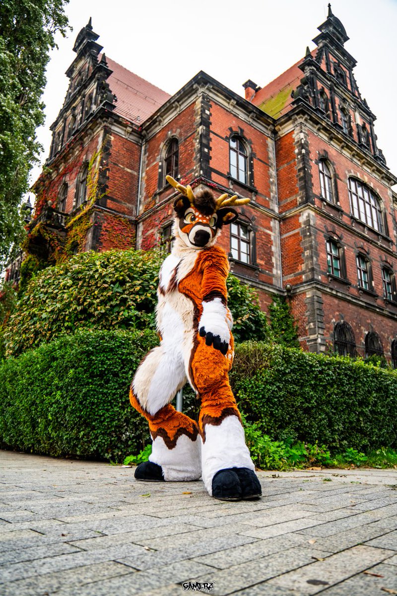 HiiGamerz's tweet photo. Few shots of Furwalk in Wrocław.
#FursuitFriday #fursuit #furry #WrF #wroof #WrocławskiFurwalk https://t.co/DshZp2H2hy