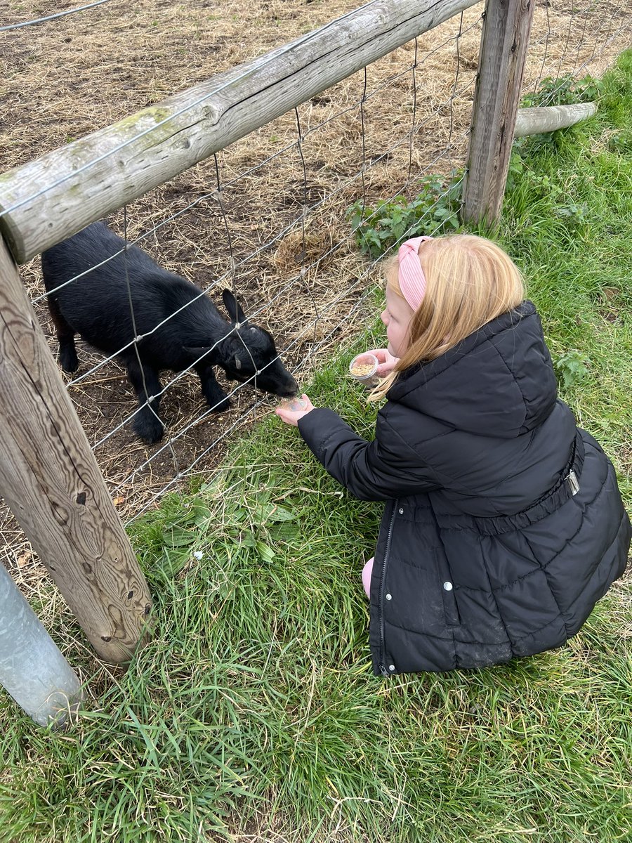 ChrisMcC2017's tweet image. Happy big 8th birthday to my little princess I hope you have a great day👸. PS Stop growing so fast 🎉🎂🎁