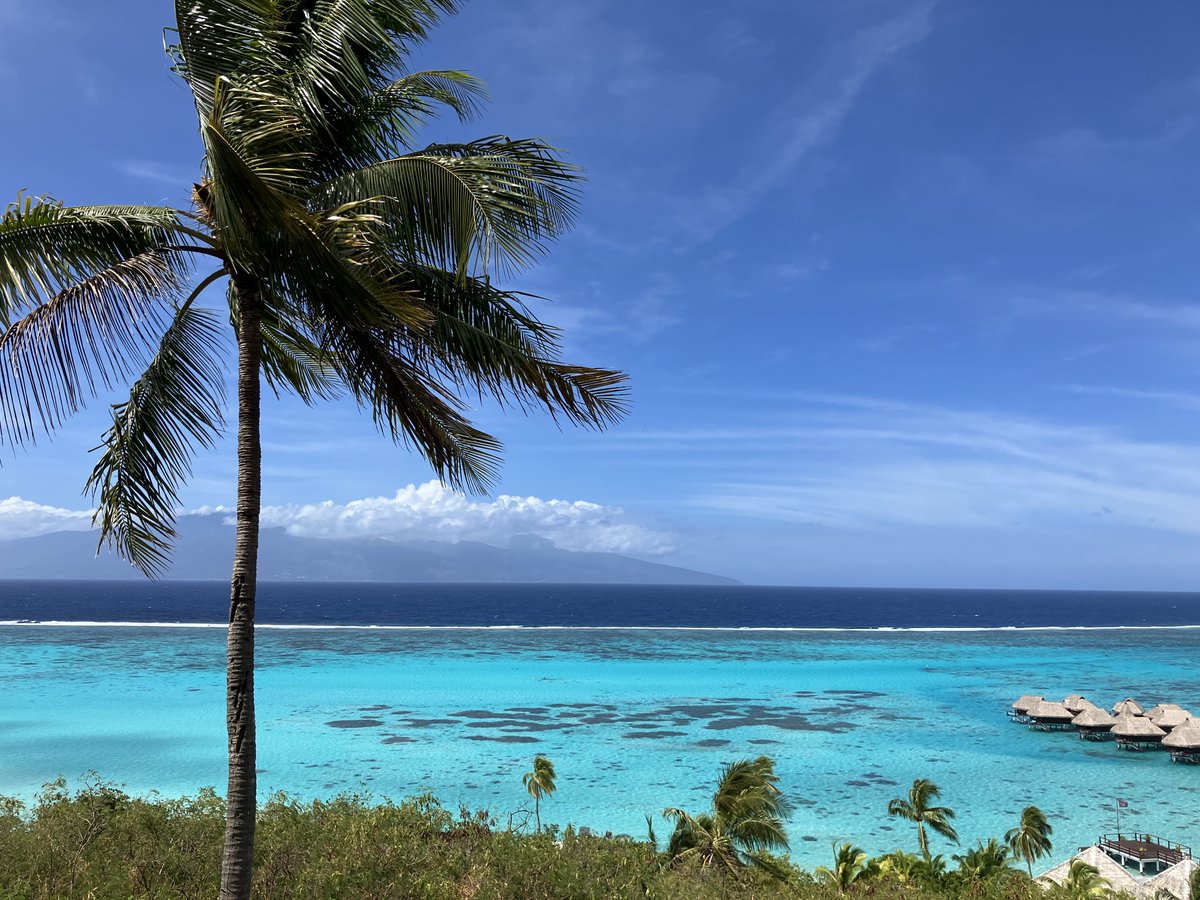 My blog today is about lecturing on a Pacific cruise ship, and about my next book.... mikerendell.com/back-to-the-18…