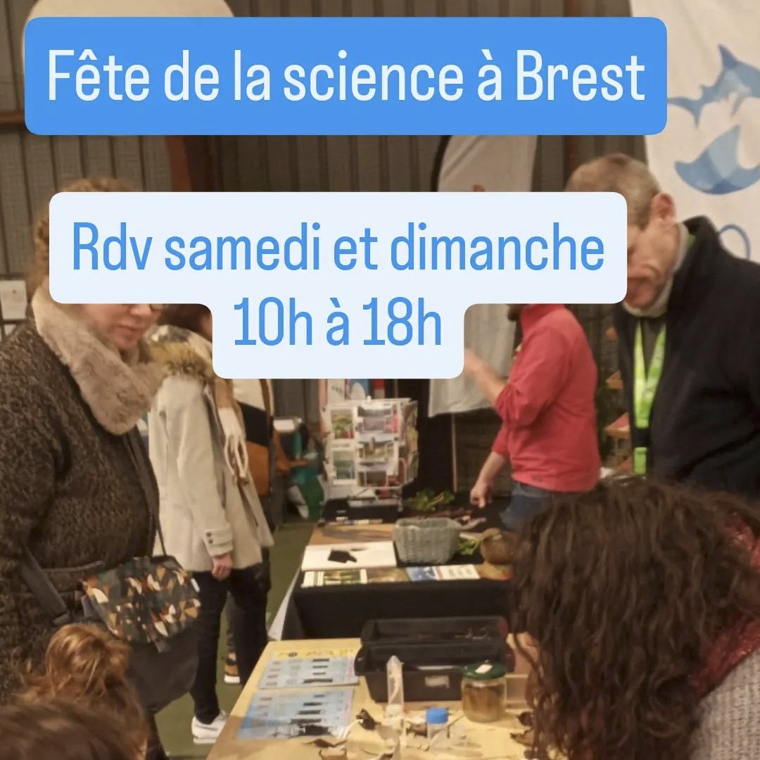 Association APECS (@assoapecs) on Twitter photo Nous vous donnons rendez-vous ce week-end au Quartz à Brest pour la <a href="/FeteScience/">Fête de la science</a> de 10h à 18h !!
#FDS2024 #FDS24 Nous vous donnons rendez-vous ce week-end au Quartz à Brest pour la <a href="/FeteScience/">Fête de la science</a> de 10h à 18h !!
#FDS2024 #FDS24