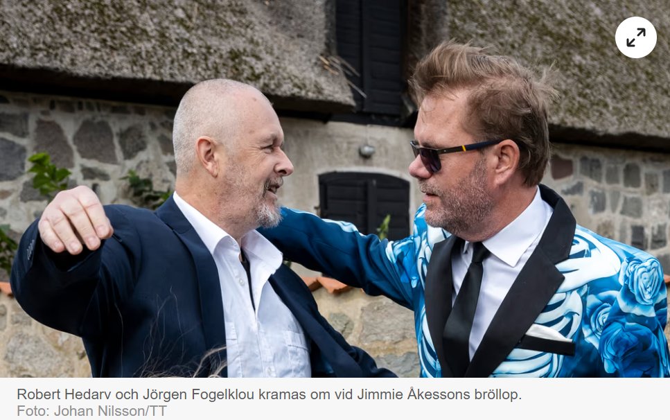 Jävlar vad Sd hatar gängkriminalitet.