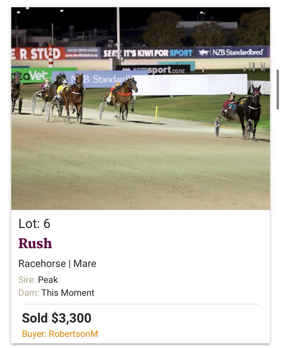 GarrickRKnight's tweet photo. Looks cheap now! Rush, the gem of @gavelhouse_s 

Has now won about $41,000 in 2 months since this auction. https://t.co/8zNa0vjWxb