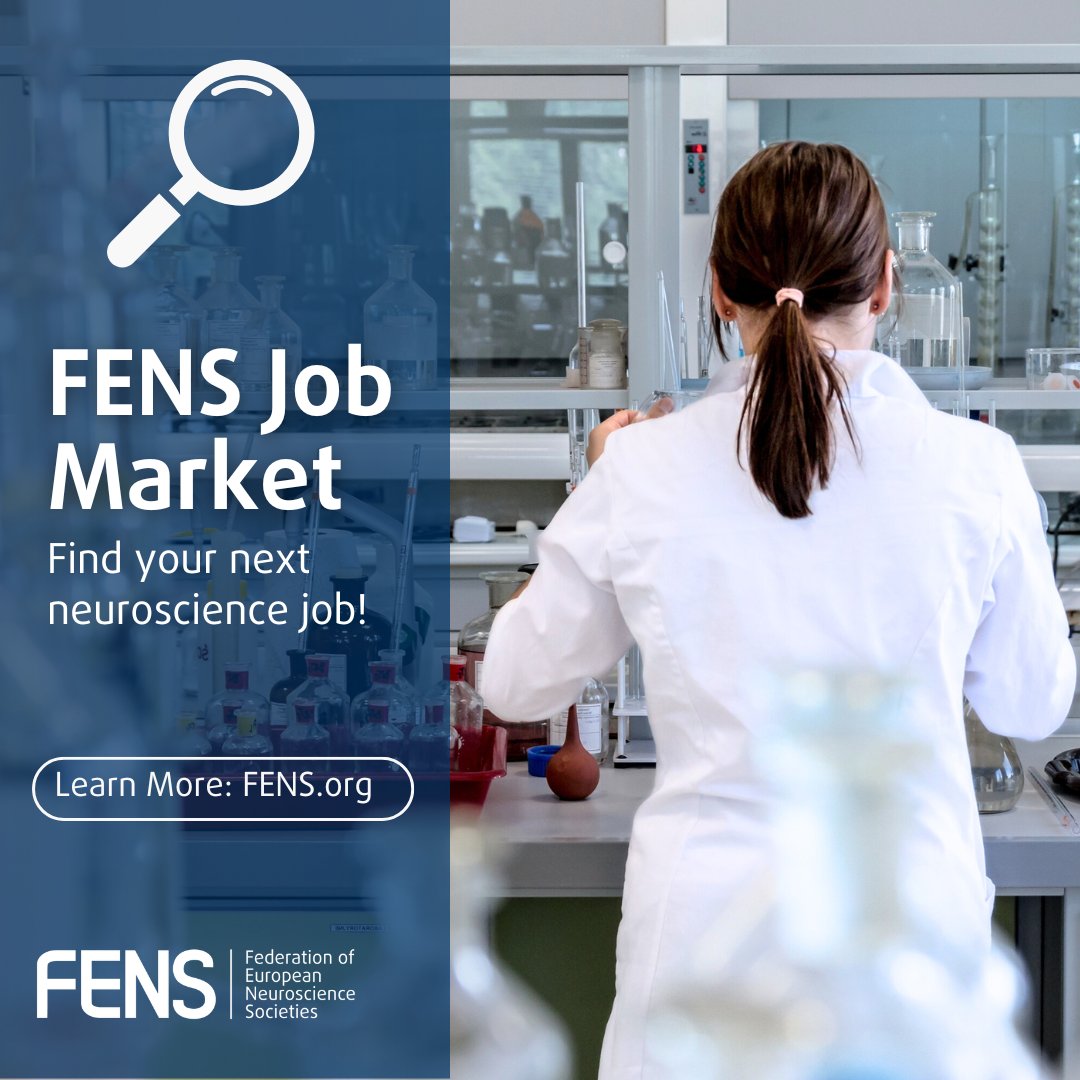 Explore the #FENS Job Market and and find the next step in your #neuroscience career! 🚀

The FENS Job Market is your go-to resource for finding a job to match your skills and aspirations ✨

Explore now: loom.ly/o0lWfYE