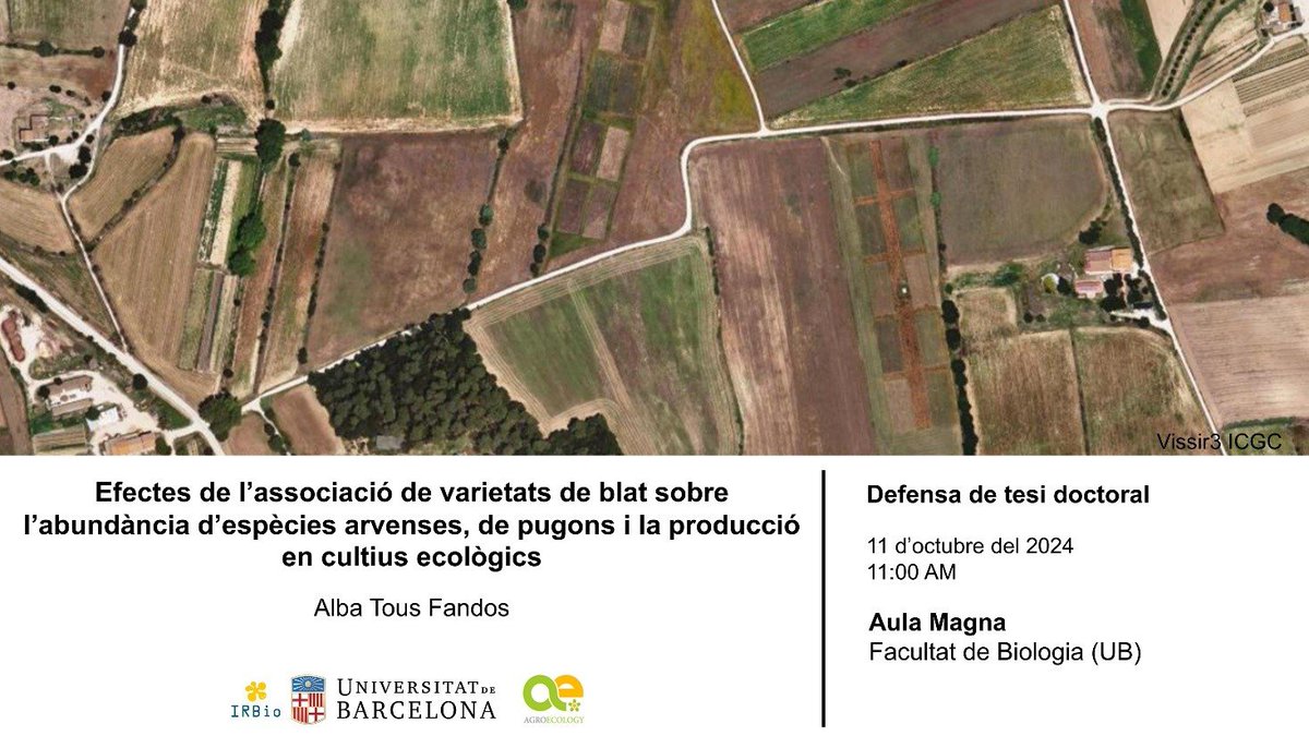 jmblnc's tweet image. Today, Alba is defending her thesis, which she did while working in @EcoStackH2020 project.