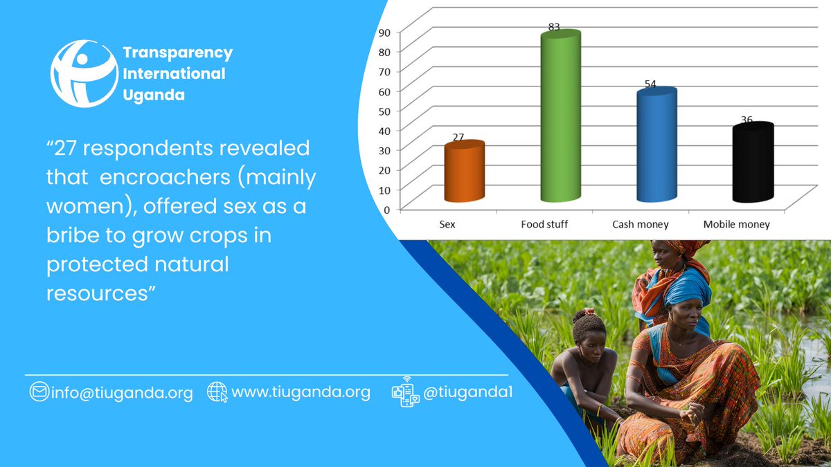 Transparency International Uganda tweet media