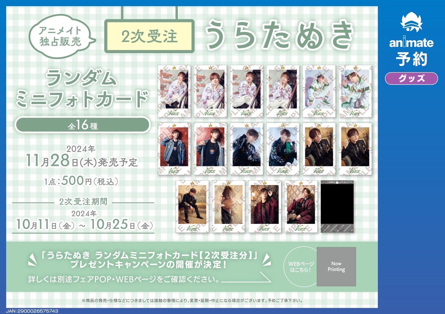 たぬワン! (@birthday_wataru) / X たぬワン! (@birthday_wataru) / X