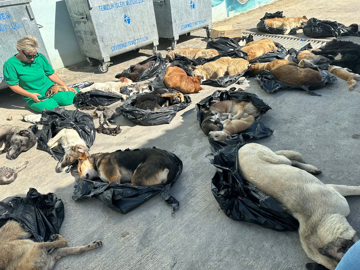 Chp Mv. Nimet Özdemir Gebze Bakım Evinde savcı gelene kadar oturma eylemi yapıyor...
#GebzedeKatliamVar