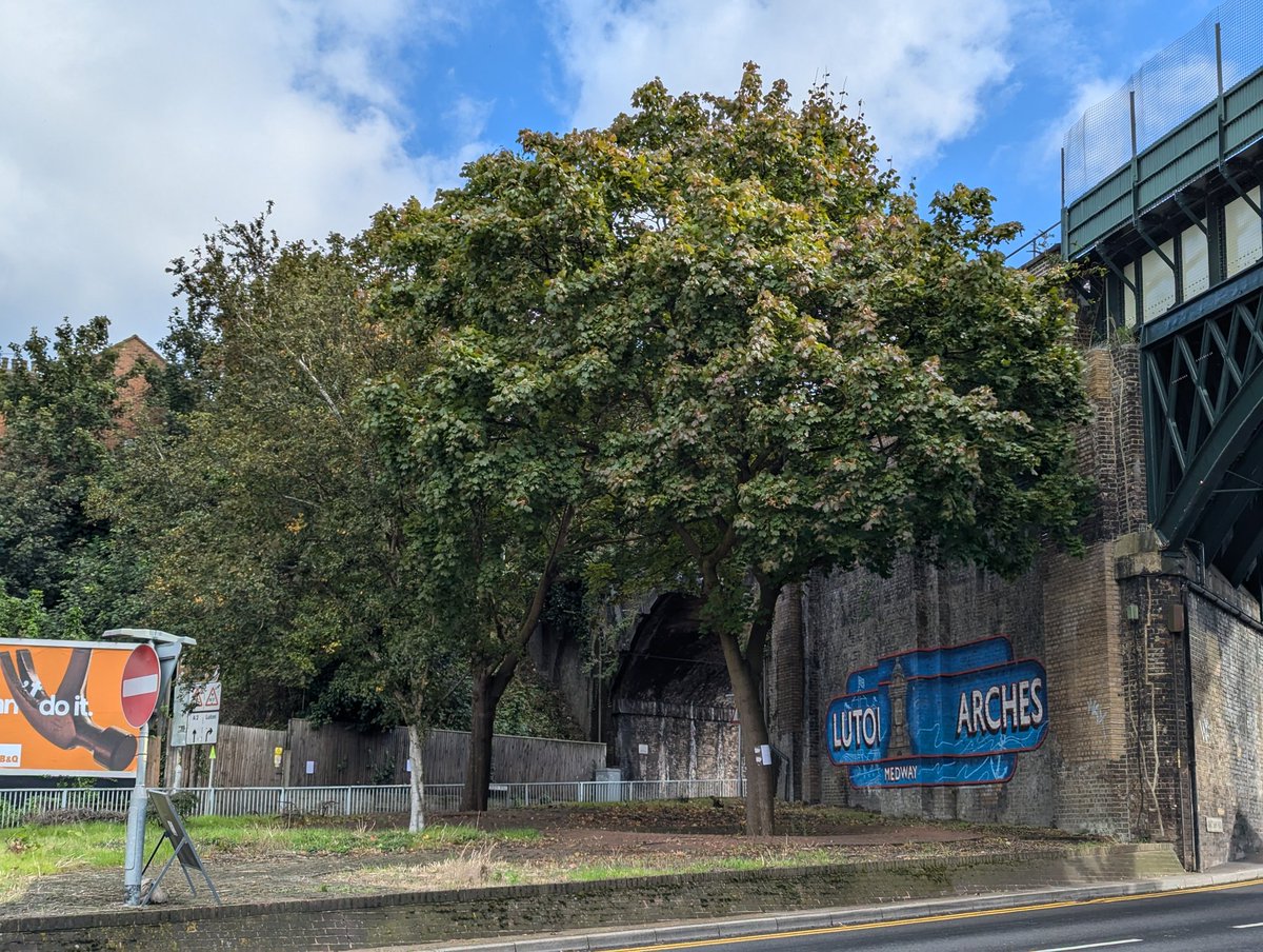✅ Pleased that common sense has prevailed as Medway Norse will keep and maintain the Luton Arches trees, rather than felling as previously planned.

👏 Thanks to all who emailed their views to help achieve this.
