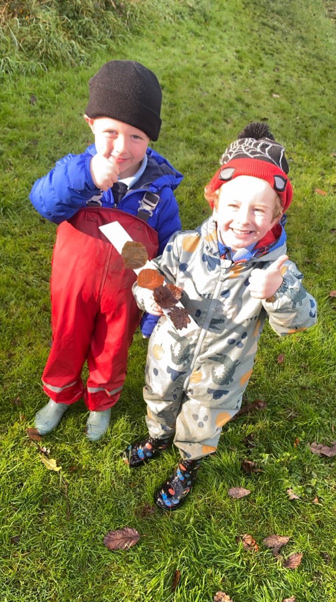 GCPSReception's tweet image. Reception are looking for autumn leaves in Forest school. 
Look at all of the beautiful colours we have found. 🍁 @GreenfieldsCPS