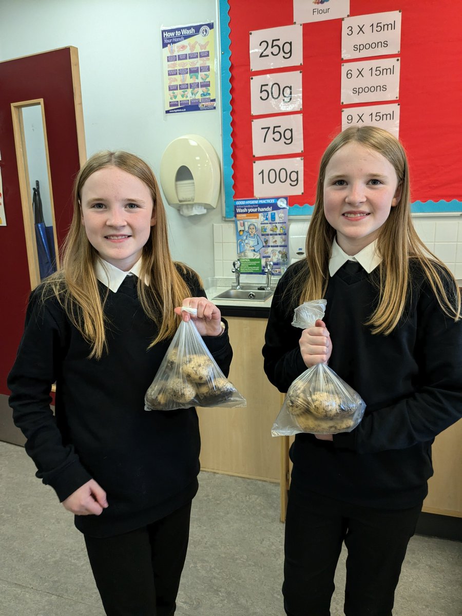 S1 pupils did a fantastic job digging up the last lot of potatoes for 2024. What a great harvest we've had this year 😄🥔🎉. Thanks again to the volunteers at Fairlie community garden for giving us all those top quality seed potatoes back in May 🙏💚.