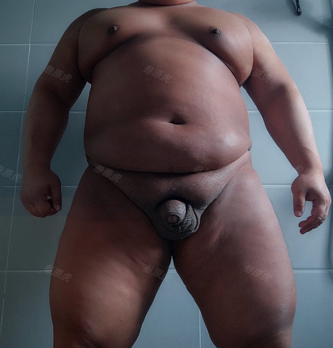 叁原虎 tweet media