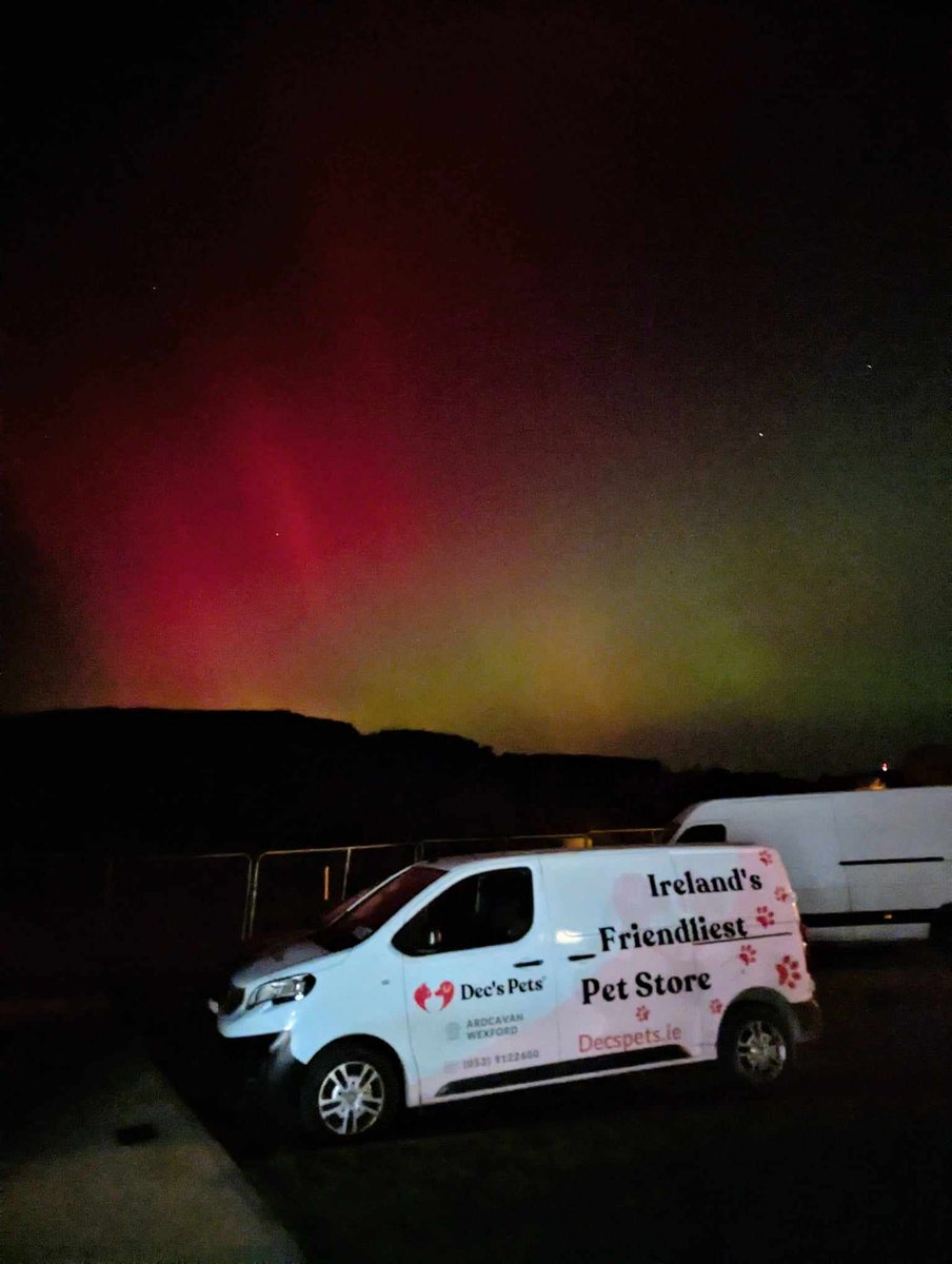 Decspets.ie tweet media