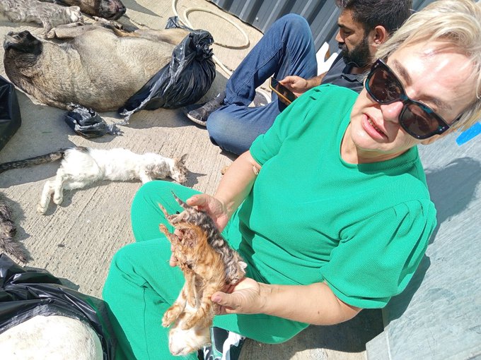 Ne ekersen onu biçersin <a href="/gebze_belediye/">Gebze Belediyesi</a> 
El kadar kedilerin katilisin.

#gebzedekatliamvar