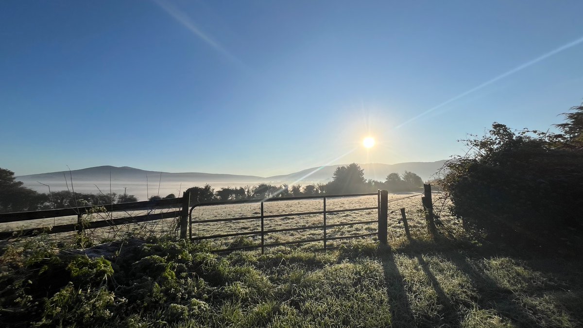 A chilly one this morning. 
#wicklow 
#ireland