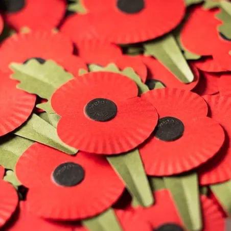 Worcestershire Freemasons are again supporting the RBL’s Poppy Appeal.
We will be selling poppies at: Frankley Services &amp; Sainsbury's Kidderminster.
Poppy selling will be 26th Oct to 9th Nov.
If you would like to help, email our appeal coordinator, Martin Kadir, @: m_kadir@me.com