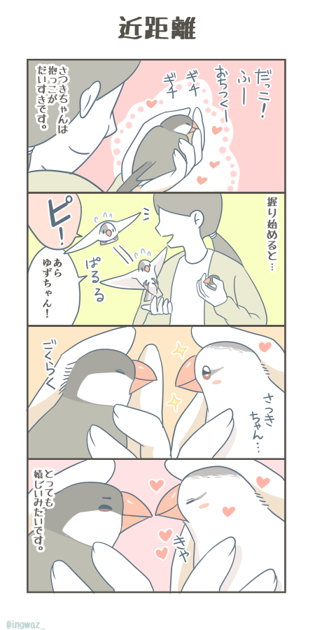 近距離。

 #漫画が読めるハッシュタグ 
#Buncho #文鳥 