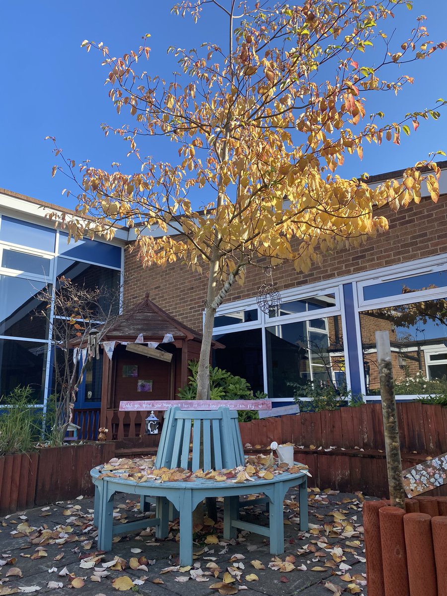 Lovely autumnal Friday 🍁#HappyFriday #skylarkpartnership #thisIsAP