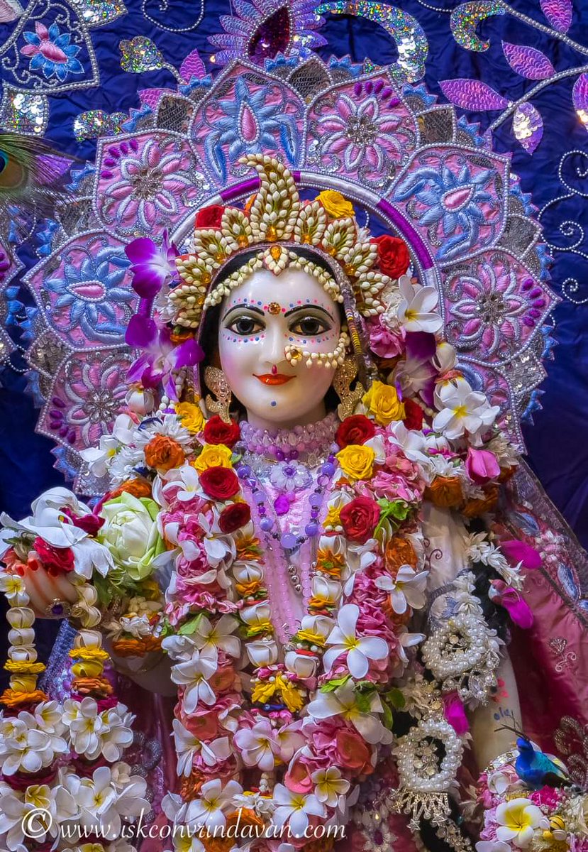 Jai Sri Radhe ❤️🍎🙏🌿💮🥀