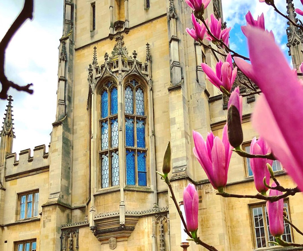 Meet Cambridge tweet media