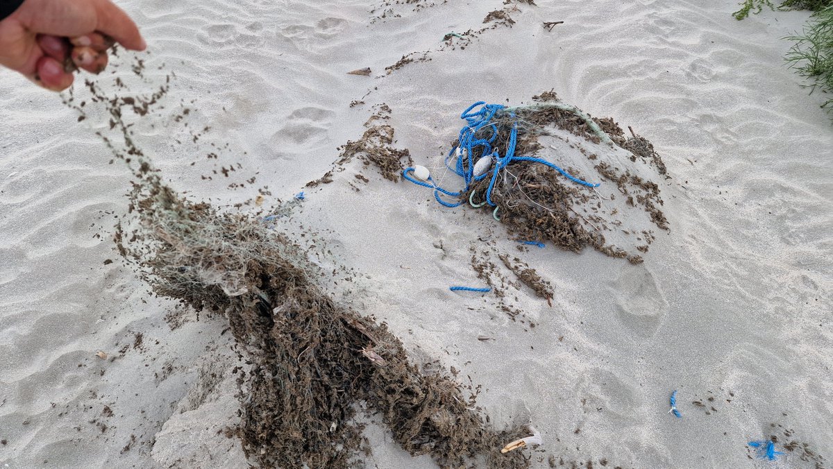 BlackNETs_BS's tweet photo. Take action against ghost nets! 🚯 Join the #Ghostbusters campaign! Every effort counts! 💪🌊 #ProtectOurCoast #Romania #MarineConservation #BlackNETs #InterregNextBlackSea #BSB #BlackSea #Corbubeach https://t.co/eaBTbZyPI5